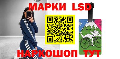 индика Рузаевка
