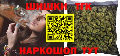 индика Рузаевка